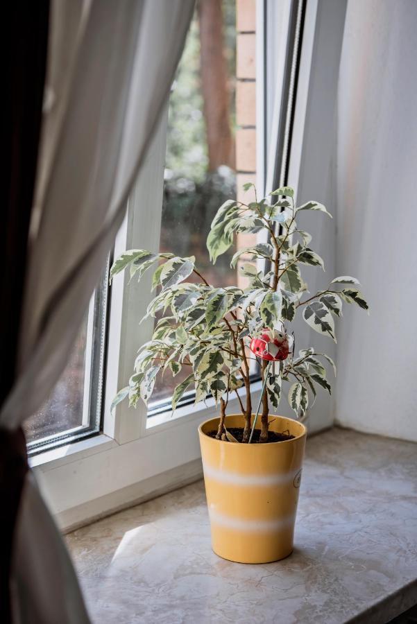 Pension Bertha Jena Exteriér fotografie